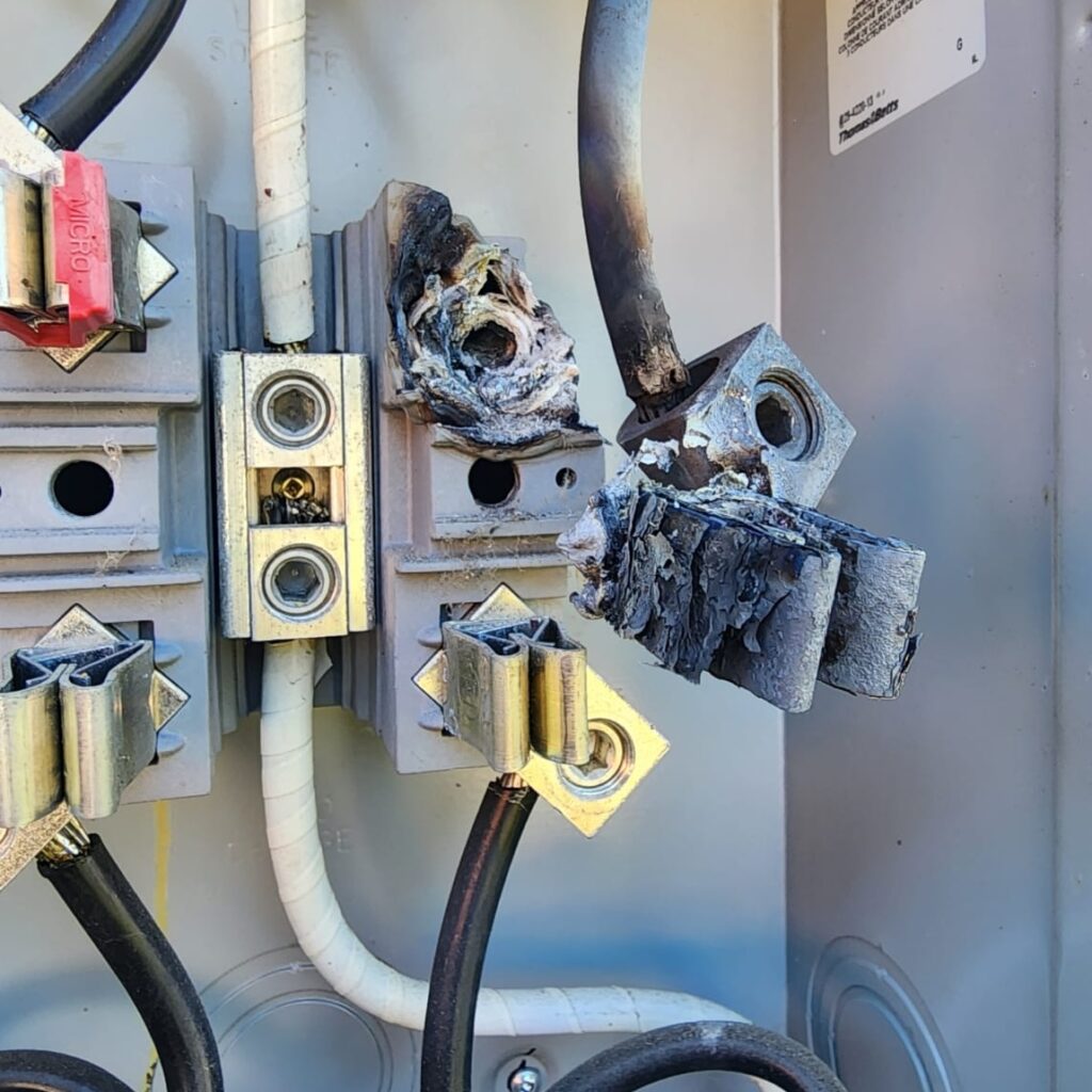 WhatsApp Image 2025-10-22 at 18.05.43 (6)