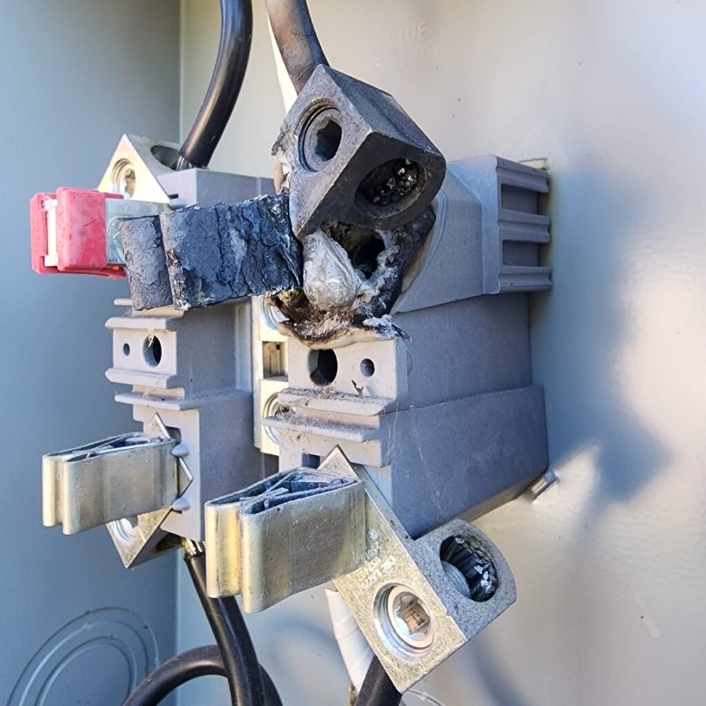 WhatsApp Image 2025-10-22 at 18.05.44 (2)